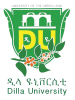 Dilla University